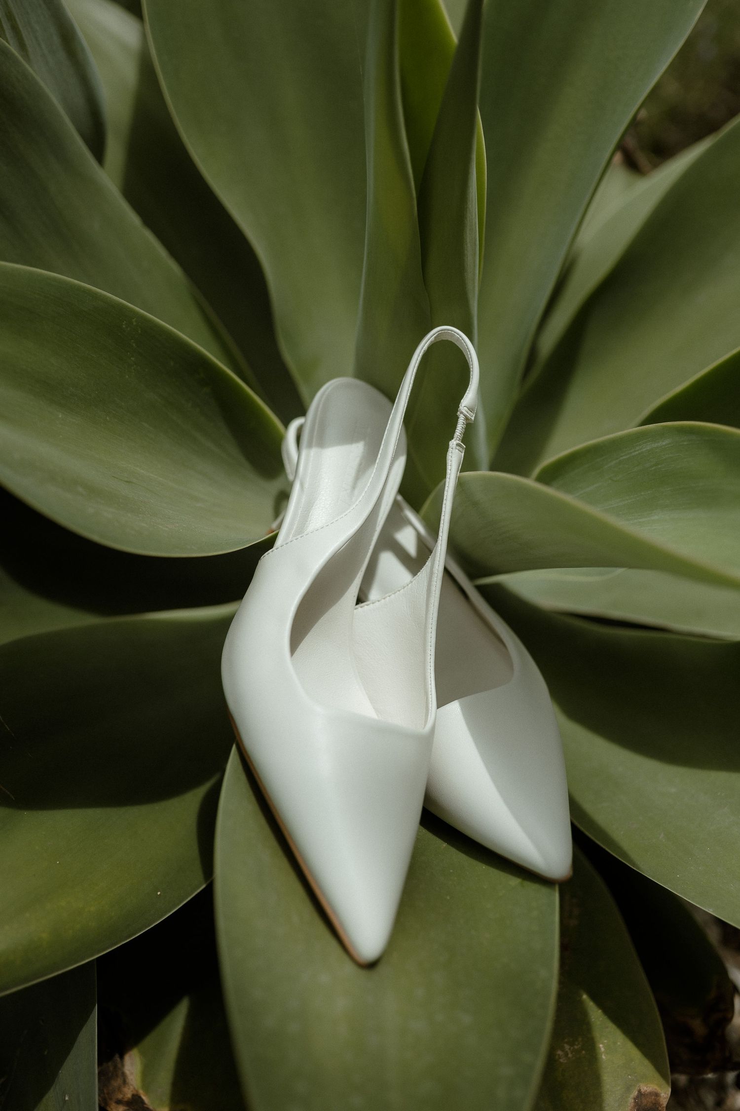 White slingback pointed-toe heels resting on green agave plant leaves, perfect bridal shoes for a wedding.