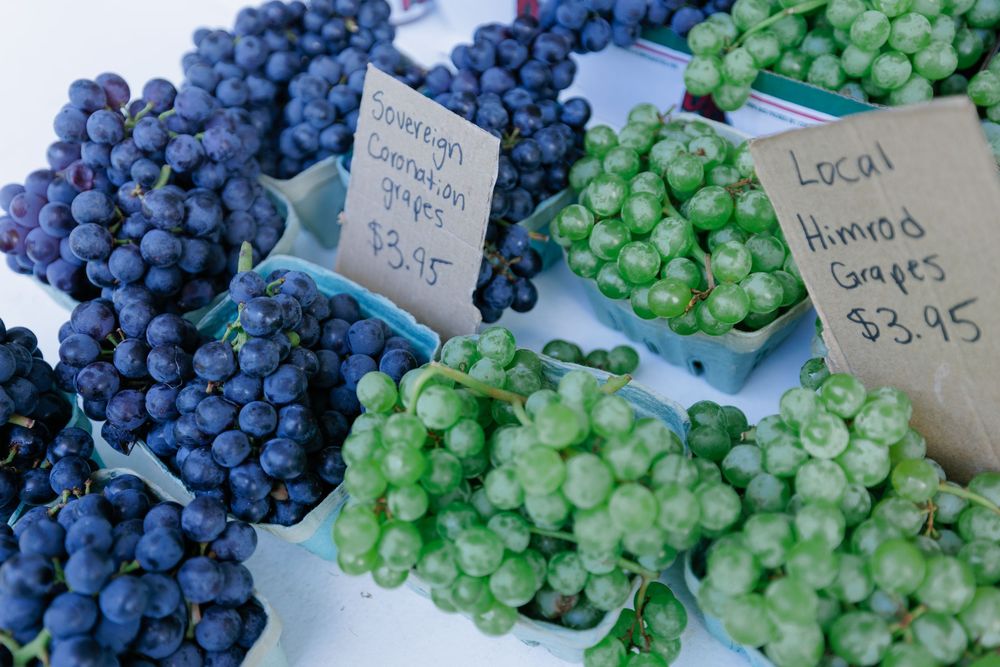 Blue and green local Himrod and Concord grapes in baskets at a farmers market priced at $3.95 each.