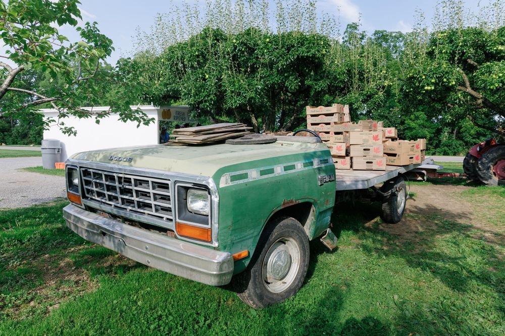 Vintage green flatbed truck loaded with wooden pallets parked in a lush orchard setting near a white building.