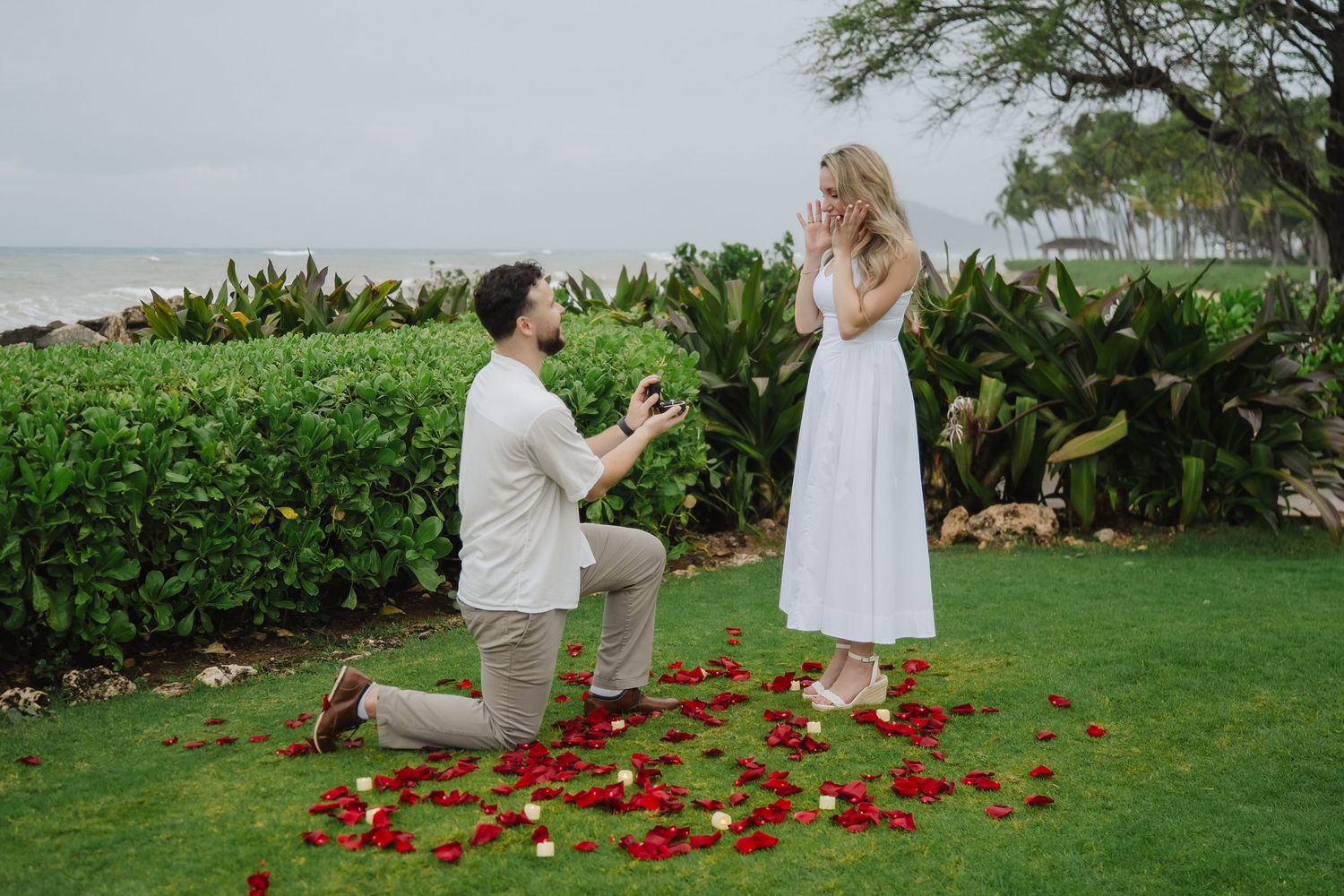 Man proposes on one knee with rose petals on grass near ocean, woman in white dress reacts with surprise.