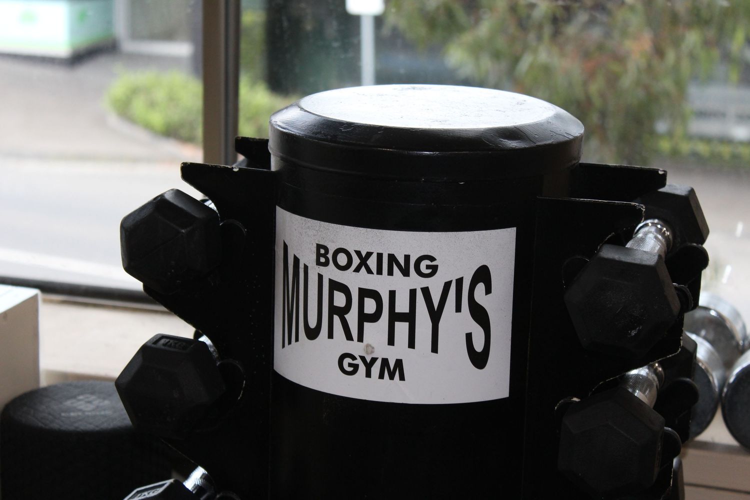 Murphy's Boxing Gym black equipment stand surrounded by dumbbells near a window.