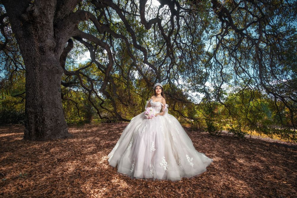 Bride in a stunning white ball gown standing under ancient oak trees in a forest setting.