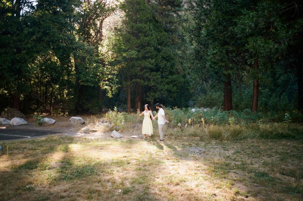 Couple in white attire walking hand in hand through a sunlit forest clearing surrounded by tall green trees.