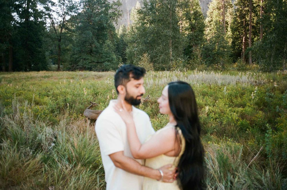 Couple embracing in a lush meadow surrounded by tall pine trees and mountains in Yosemite National Park.