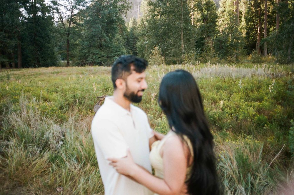 Couple embracing in a lush meadow surrounded by tall green trees, sharing a romantic outdoor moment.