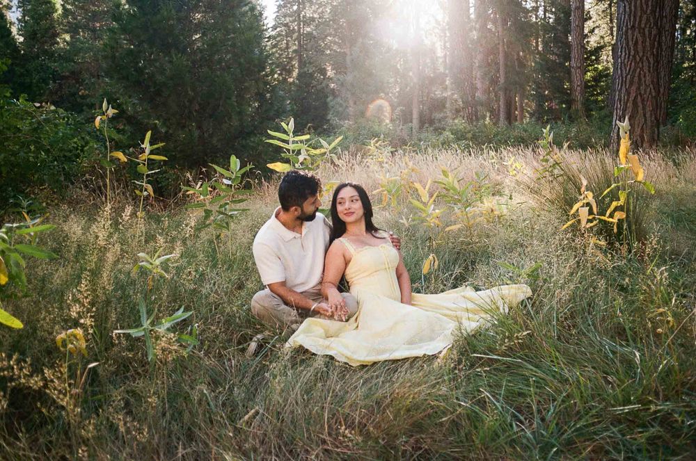 Couple sitting in a sunlit meadow surrounded by tall grass and trees, woman in yellow dress, romantic outdoor portrait.
