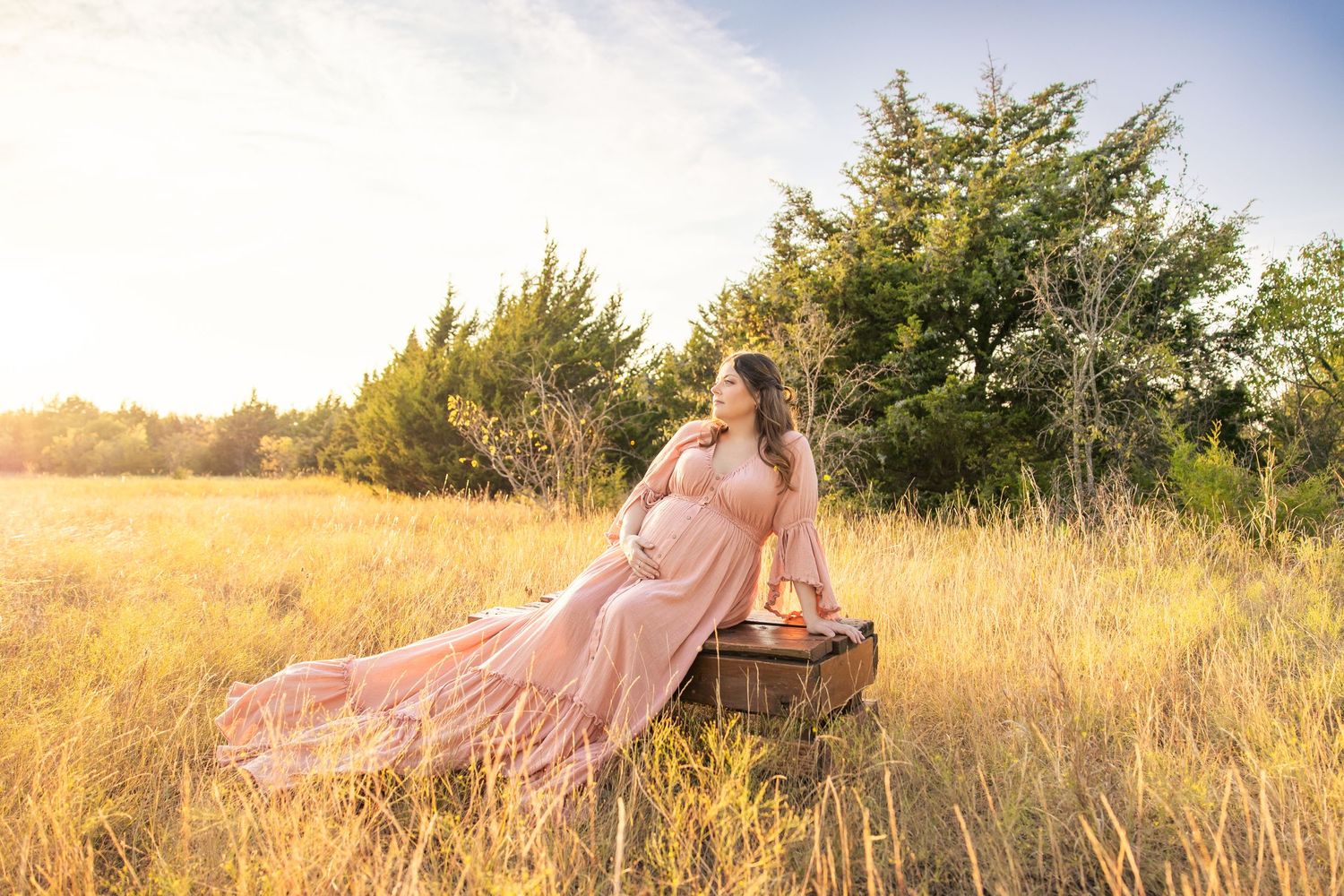 Chicago pink dress gown. Maternity session mockingbird nature park midlothian texas