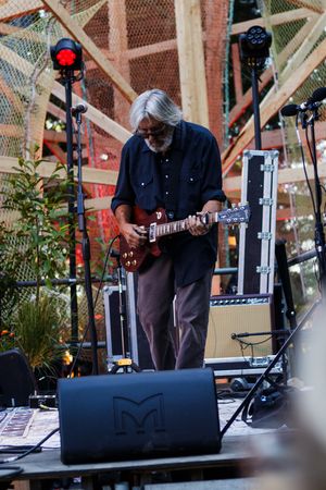 Older musician with gray hair plays electric guitar on stage with equipment and greenery in background.