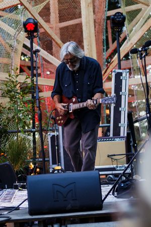Elderly musician with long gray hair plays electric guitar on stage surrounded by equipment and green plants.