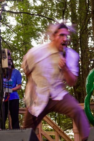 Energetic performer singing into microphone on outdoor stage surrounded by trees at a live music festival.