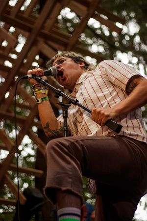 Energetic male singer with tattoos performing at outdoor festival stage surrounded by trees.