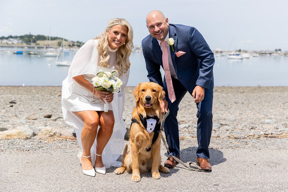 Bride and groom pose with golden retriever in tuxedo bib by waterfront on sunny wedding day.