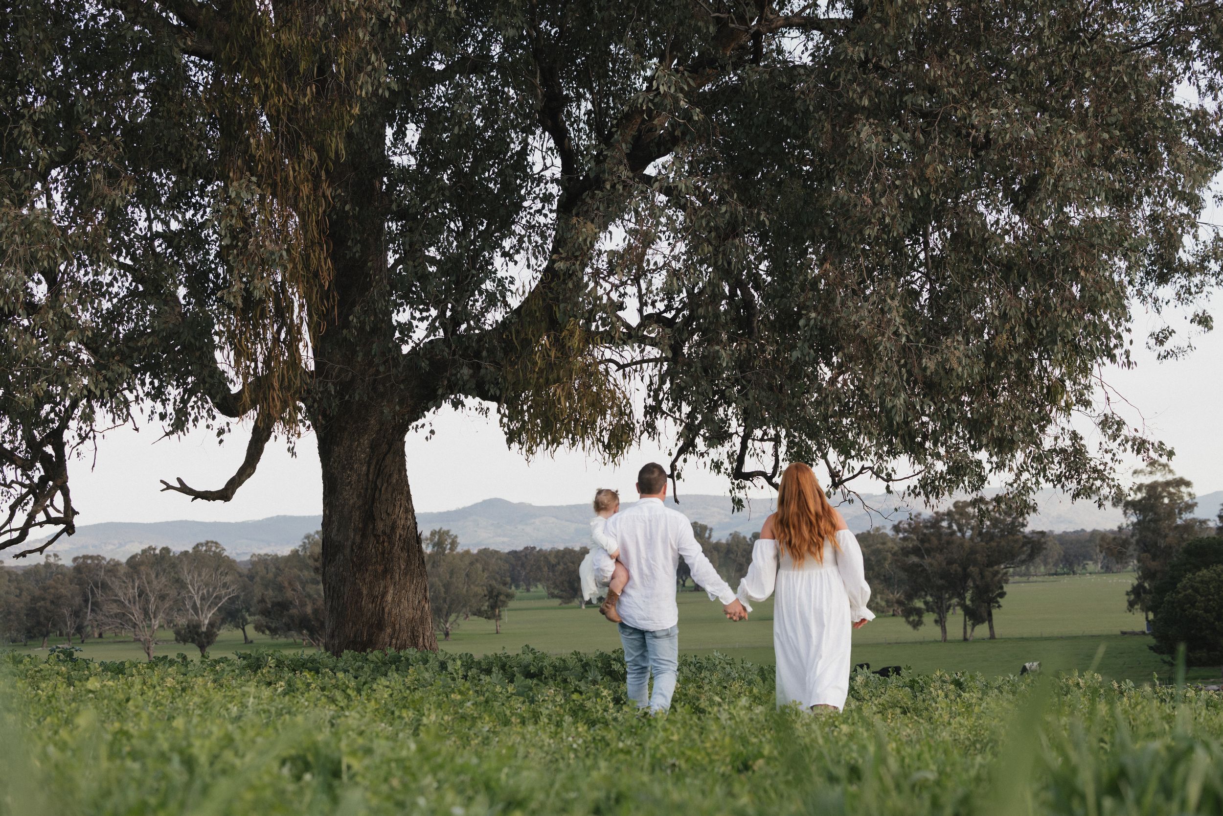 Family of three holding hands walking through a lush green field beside a large tree with mountain views.