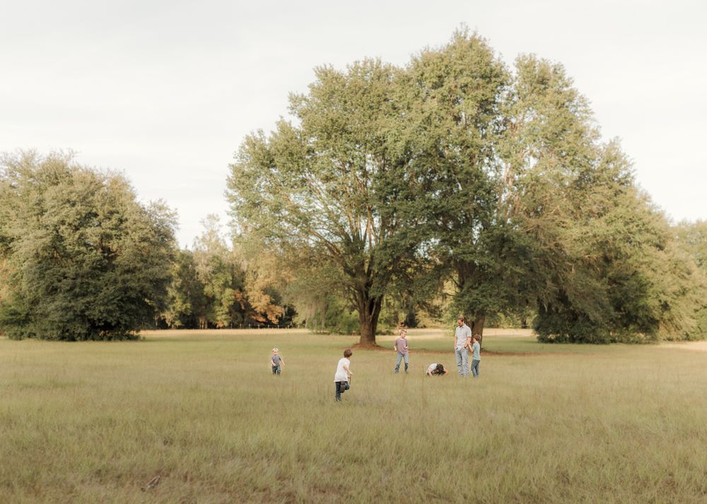 Family playing in a lush green meadow with large trees in a serene park setting.