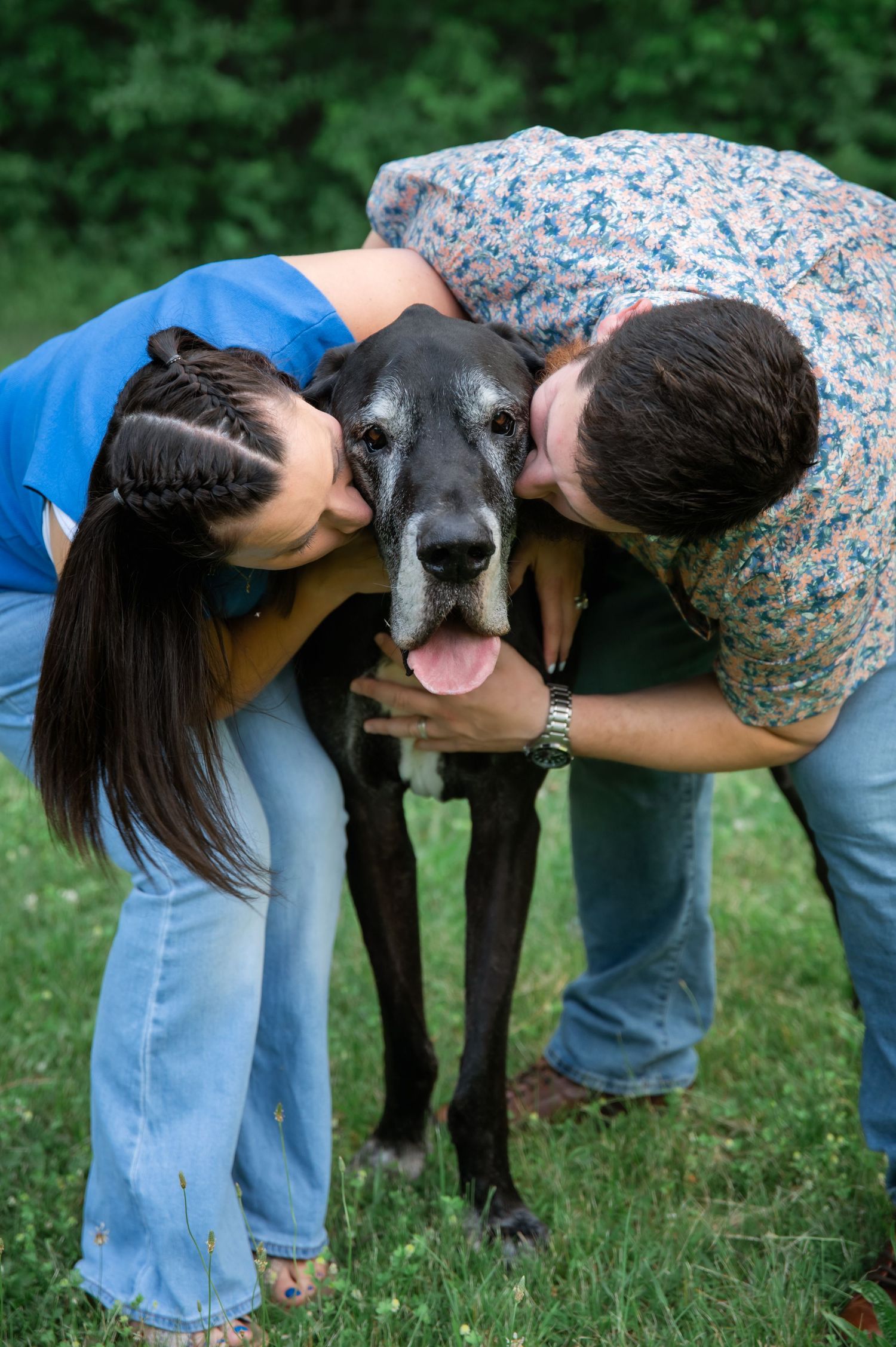 A couple kisses a large black Great Dane dog outdoors on green grass, showing affection to their beloved pet.