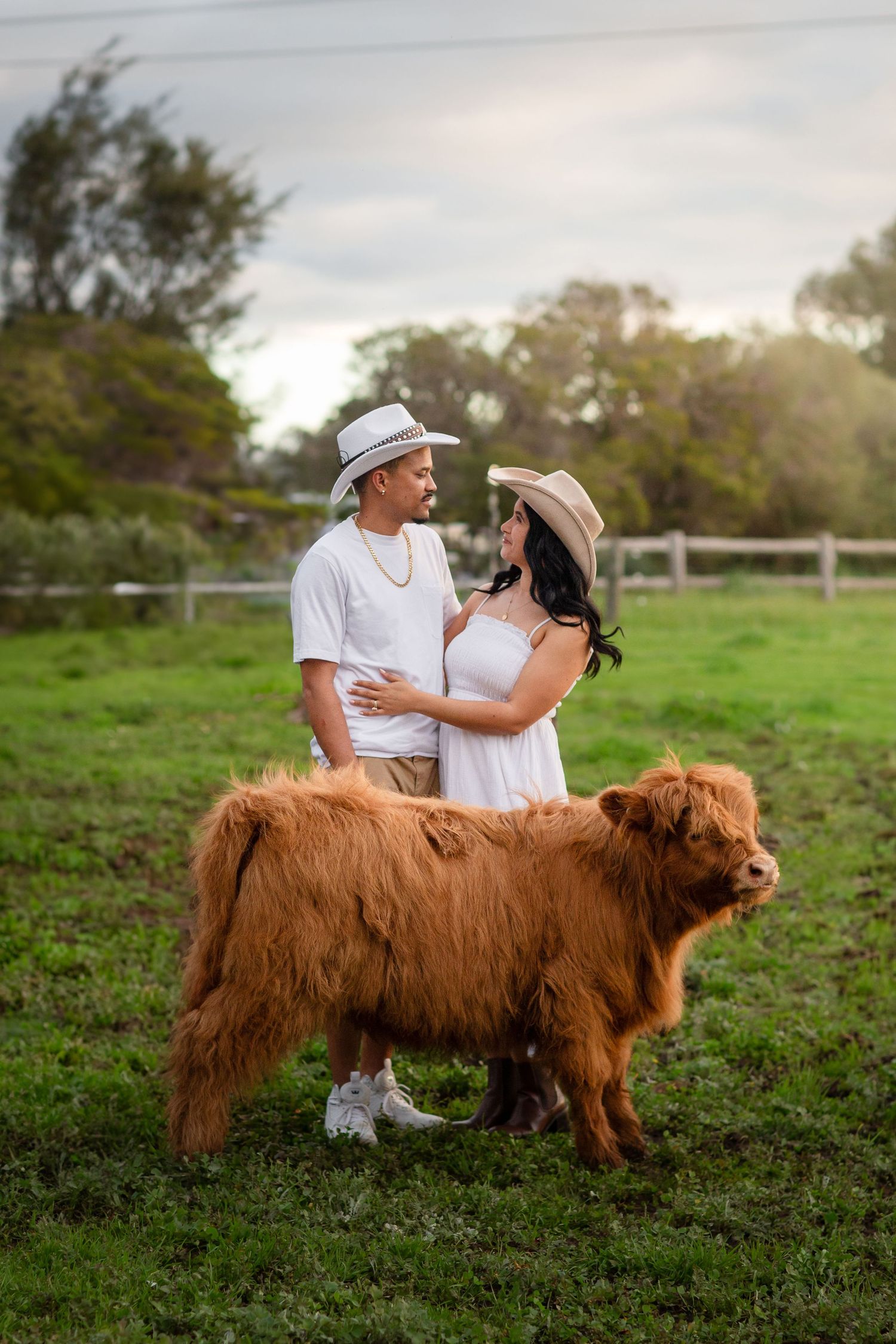 Couple posing with Highland Cows during photo session in Perth