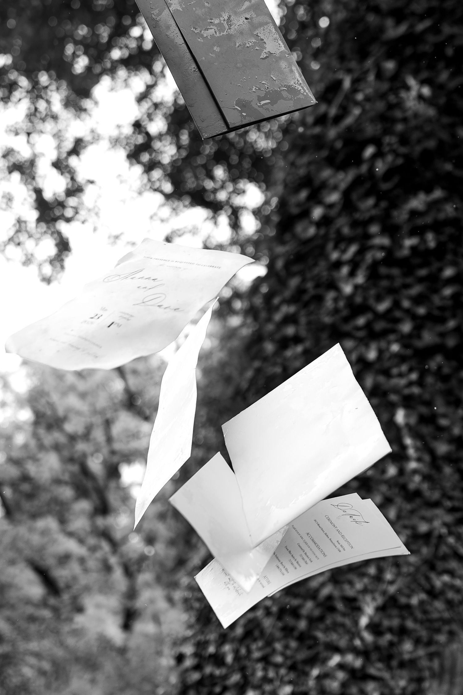 Black and white photo of wedding invitation suite and envelopes floating in the air outdoors among trees.