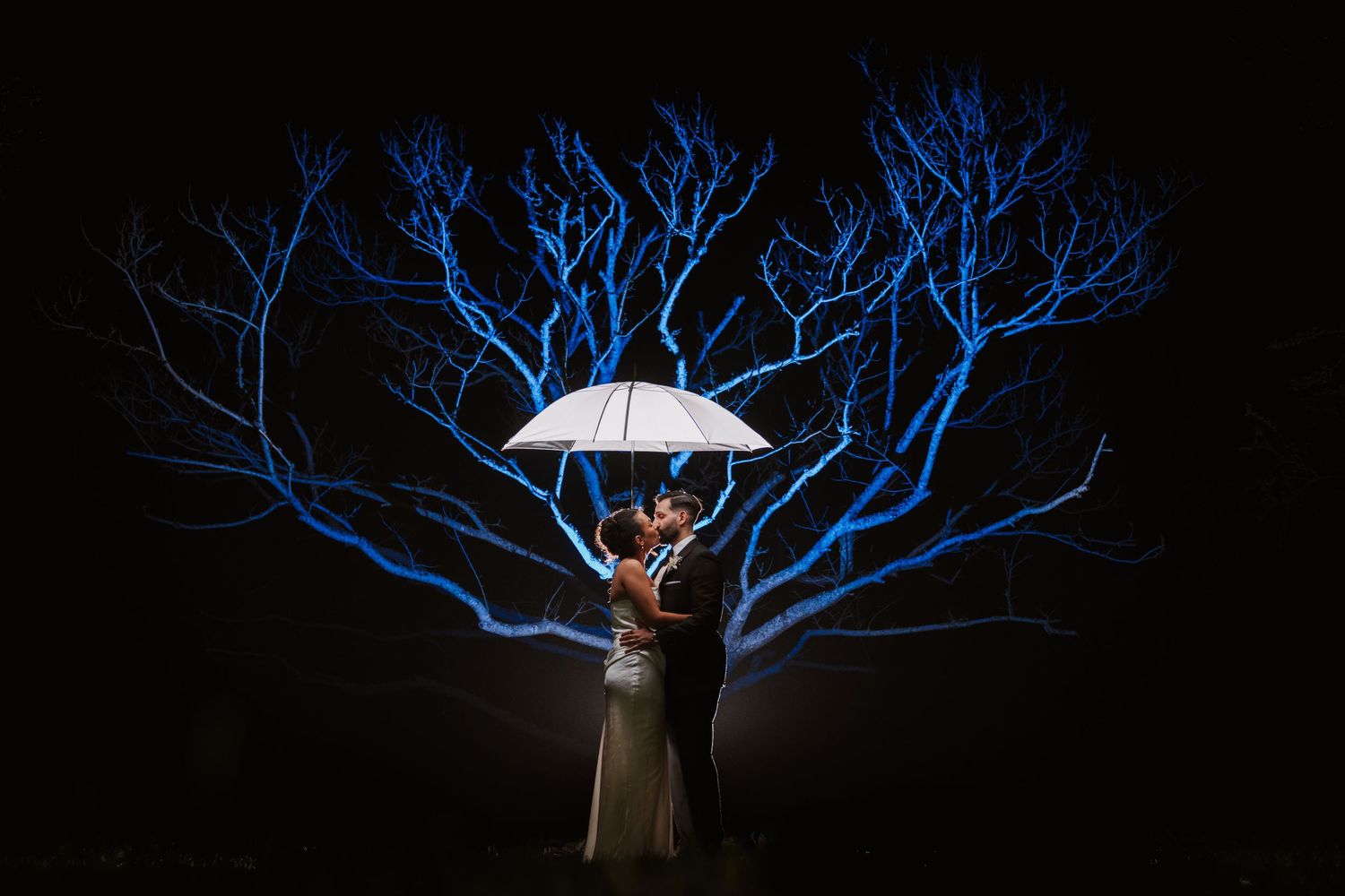Couple kissing under white umbrella at night with blue-lit bare tree branches glowing dramatically in dark background.