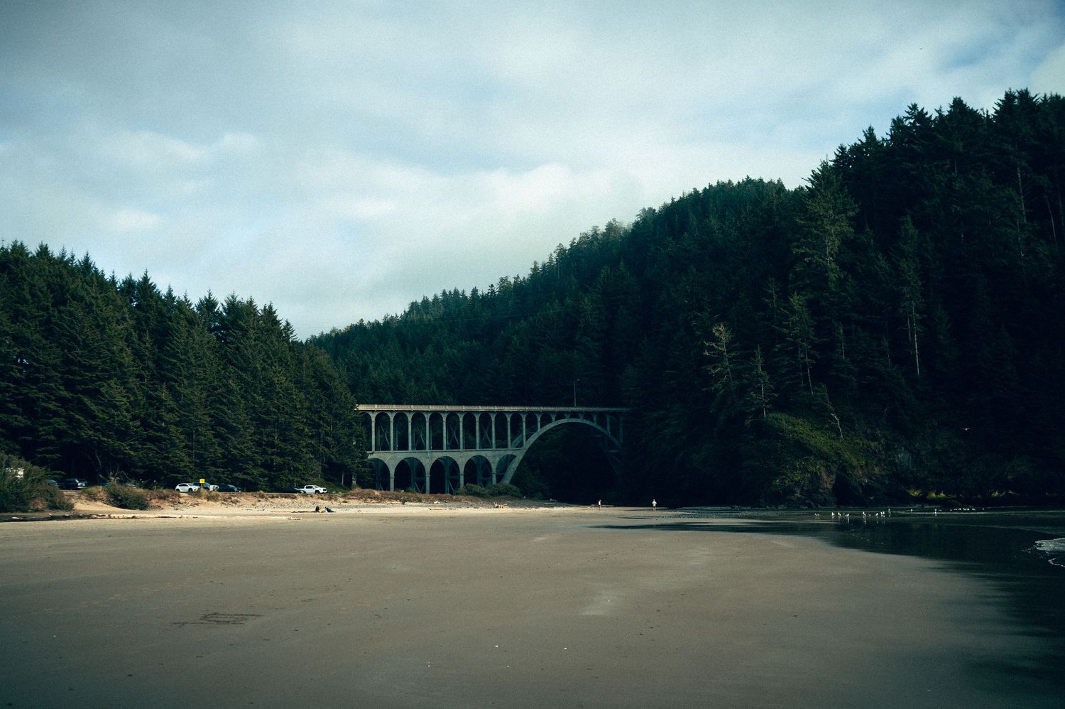 20 best things to do for your Oregon road trip. Hobbit Beach Oregon Coast Road trip travel and wellness photography by Carl James