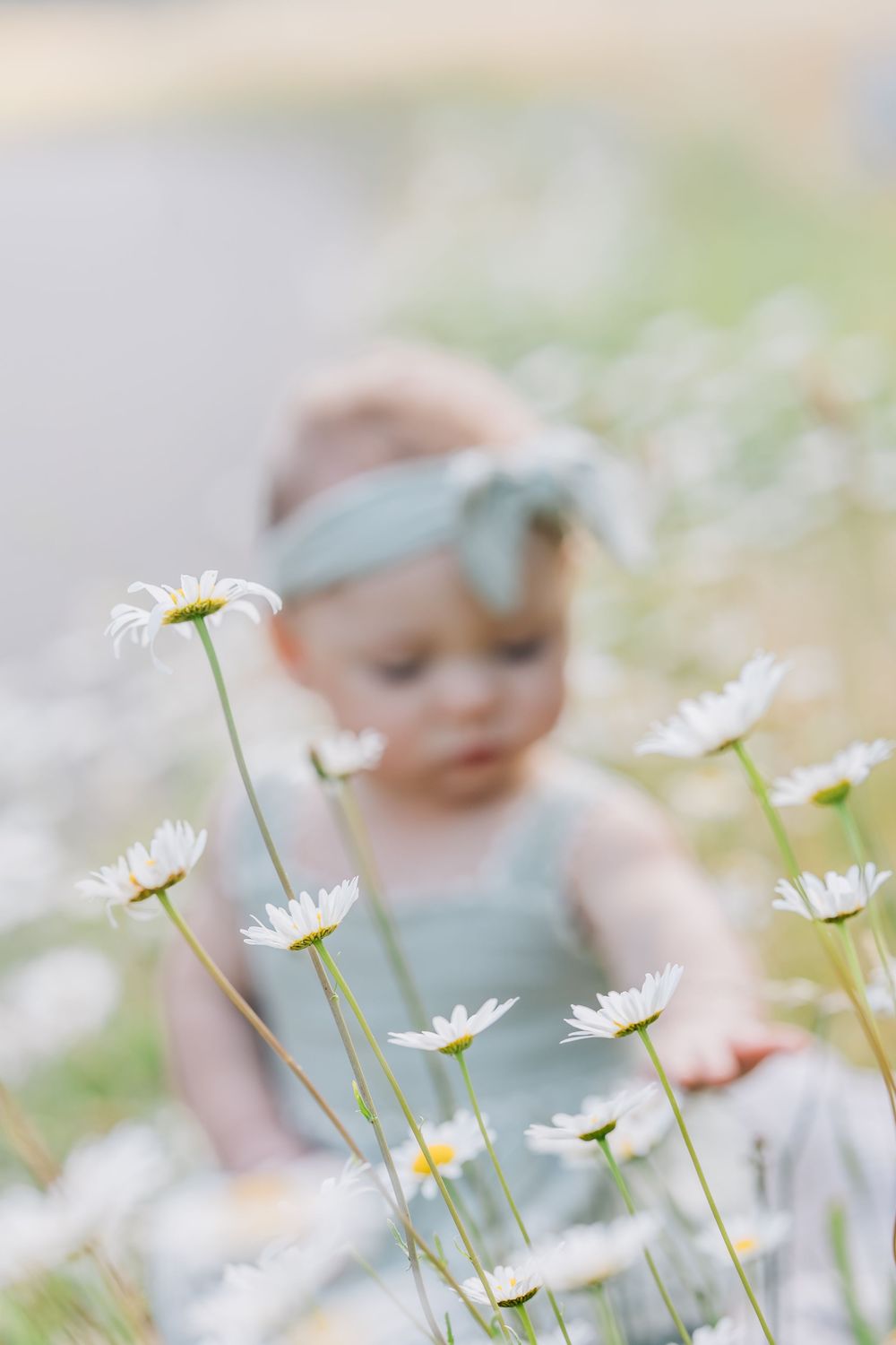 An adorable baby girl in a sage romper and bow headband sitting among white daisy flowers in a field.