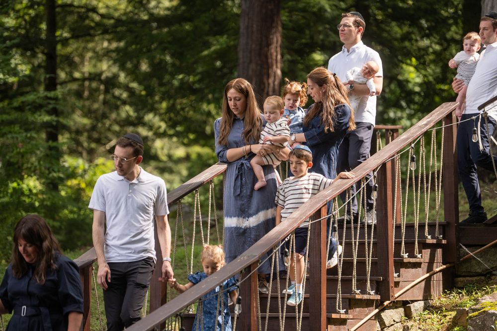 Families with children walk across a wooden bridge surrounded by lush green forest trees on a sunny day.