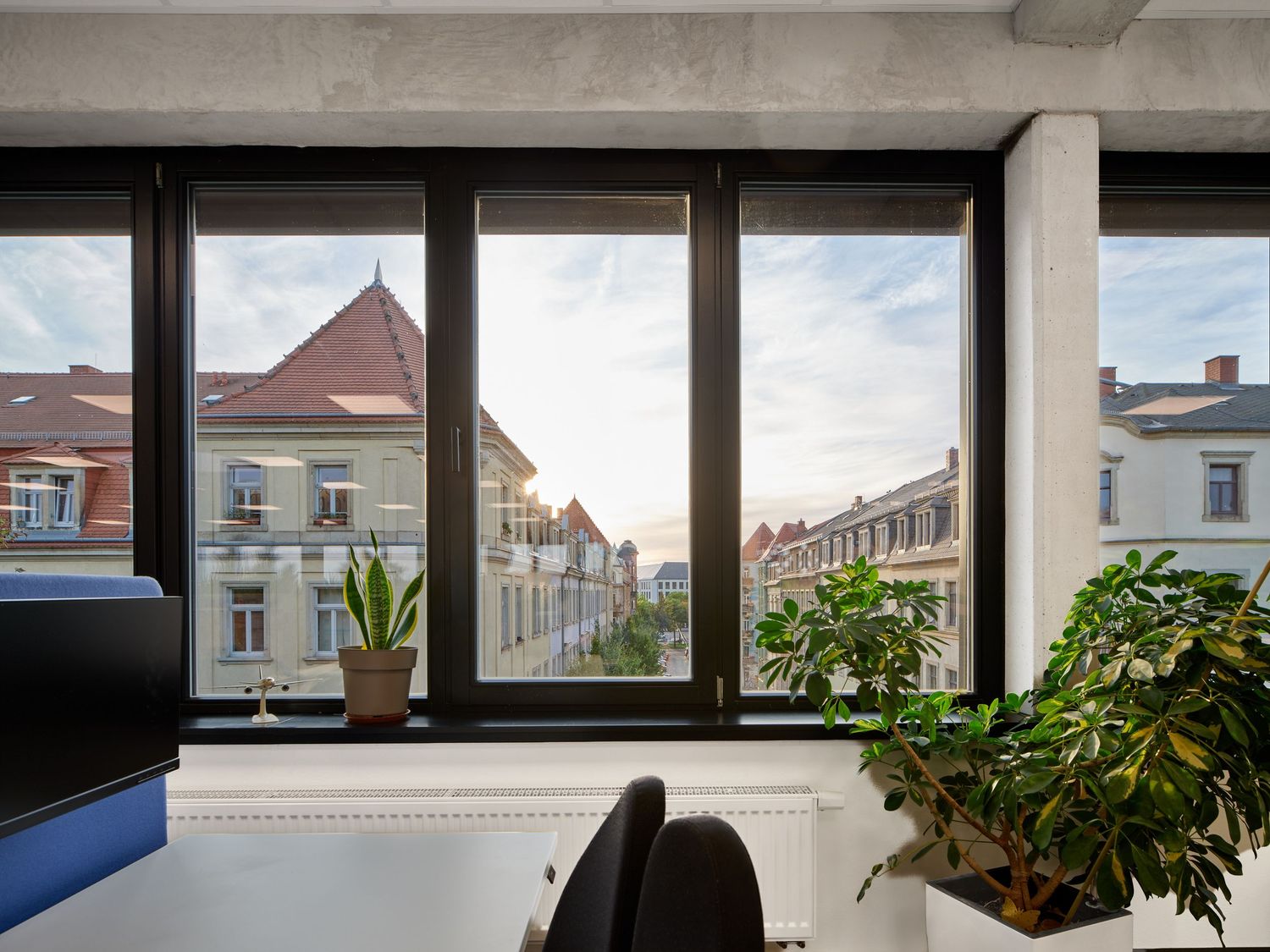 Modern office interior with large black-framed windows overlooking historic European rooftops at sunset, with potted plants on the sill.
