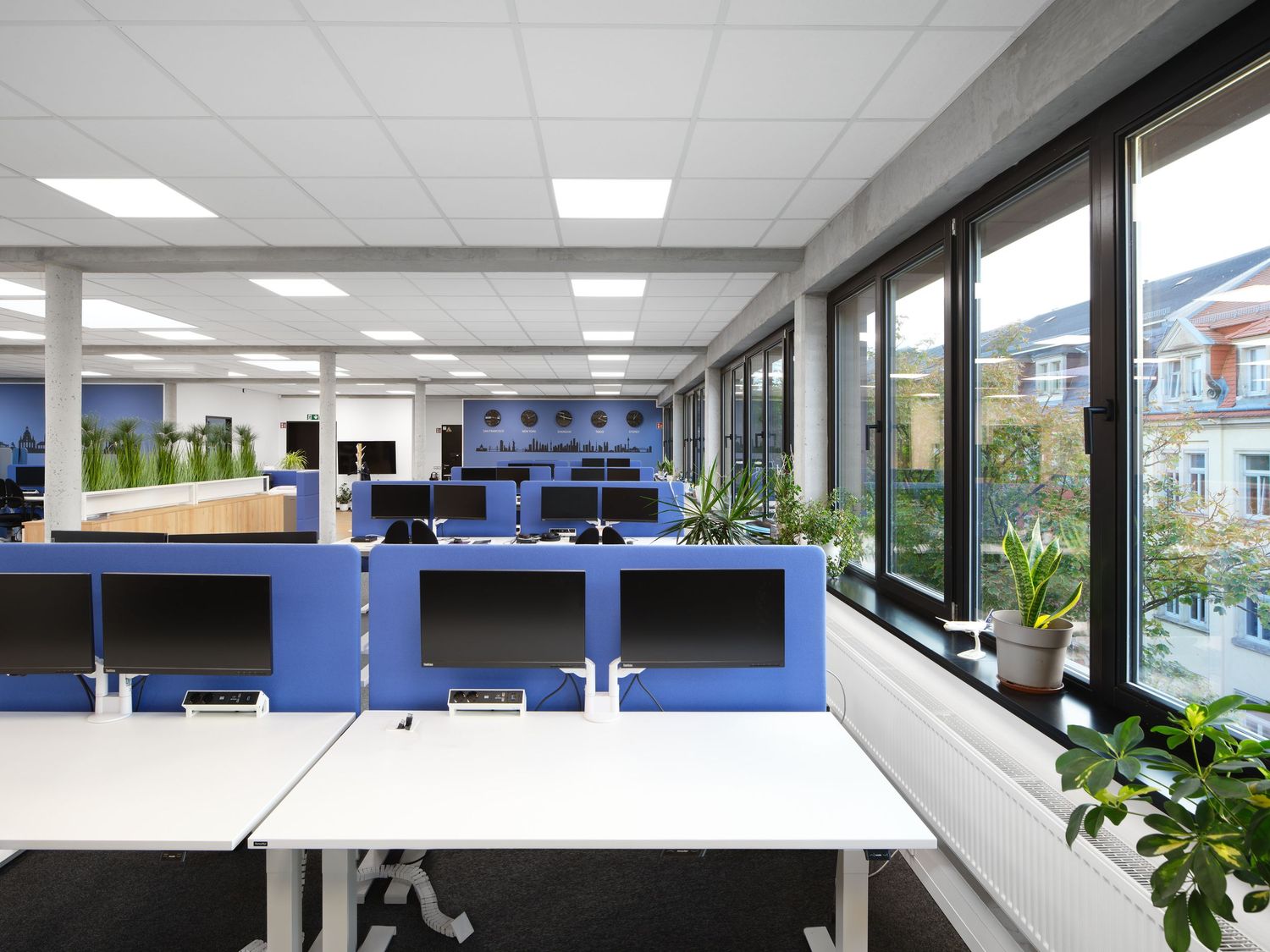 Bright modern open-plan office with blue-partitioned desks, computer monitors, potted plants and large windows overlooking nearby buildings.