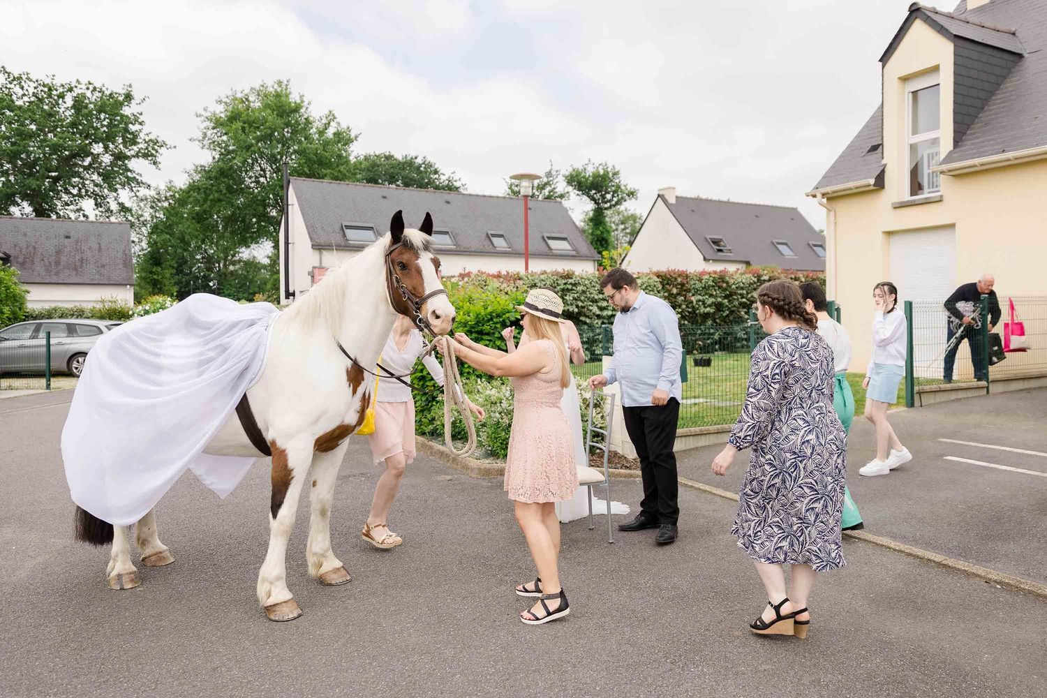 Le cheval de la mariée est préparé pour le jour du mariage