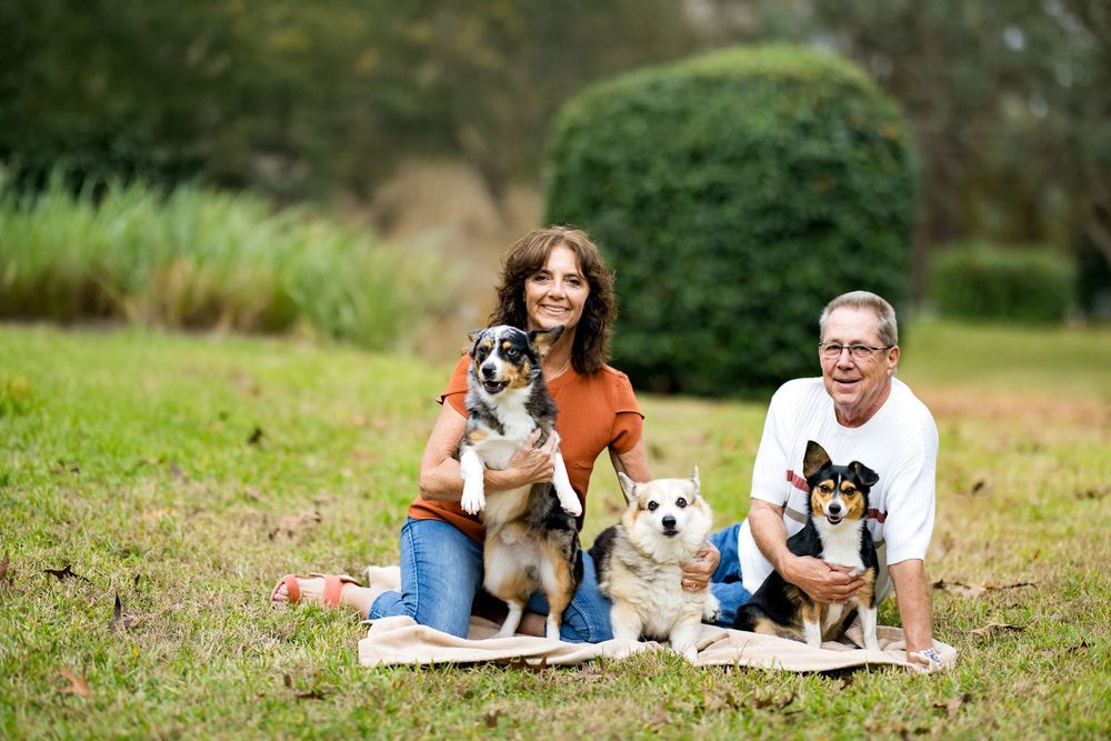 A smiling couple sits on grass in a park with three dogs, including corgis and an Australian shepherd.
