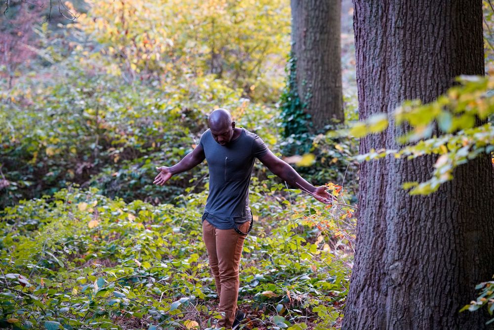 A man walks through a lush autumn forest, arms outstretched, surrounded by colorful foliage and tall trees.