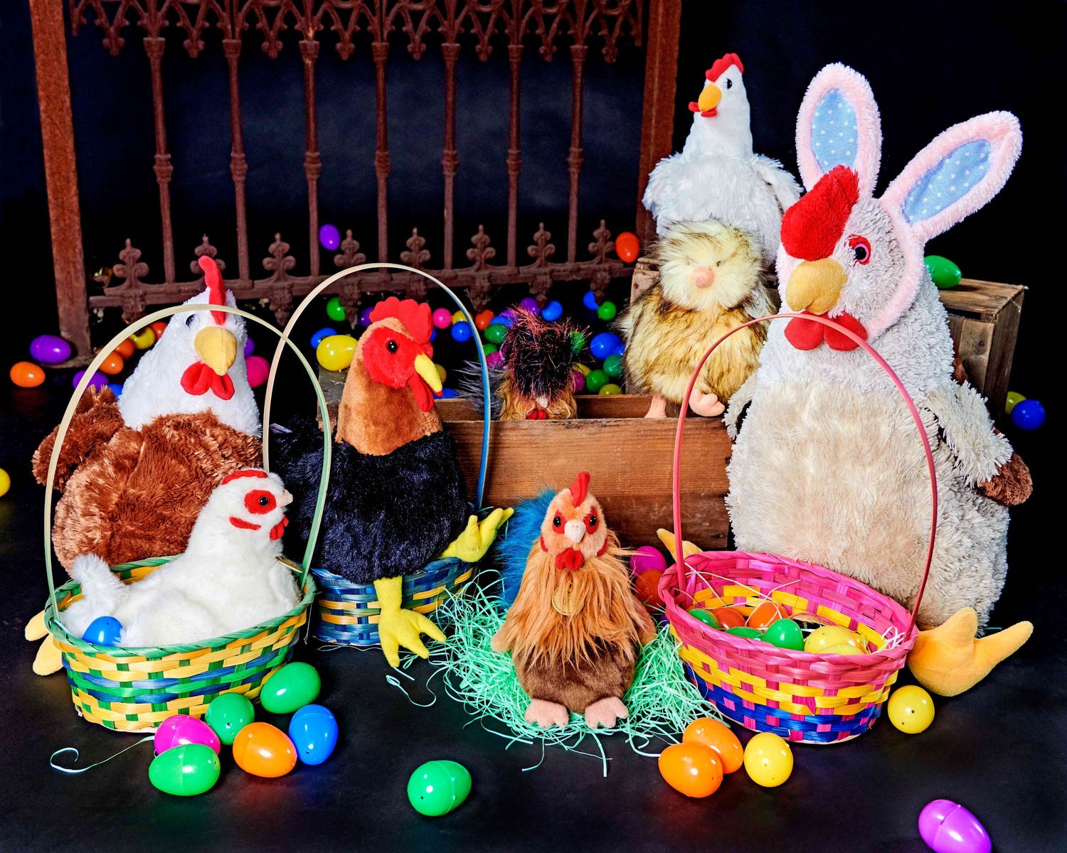 Chicken family on an Easter egg hunt.