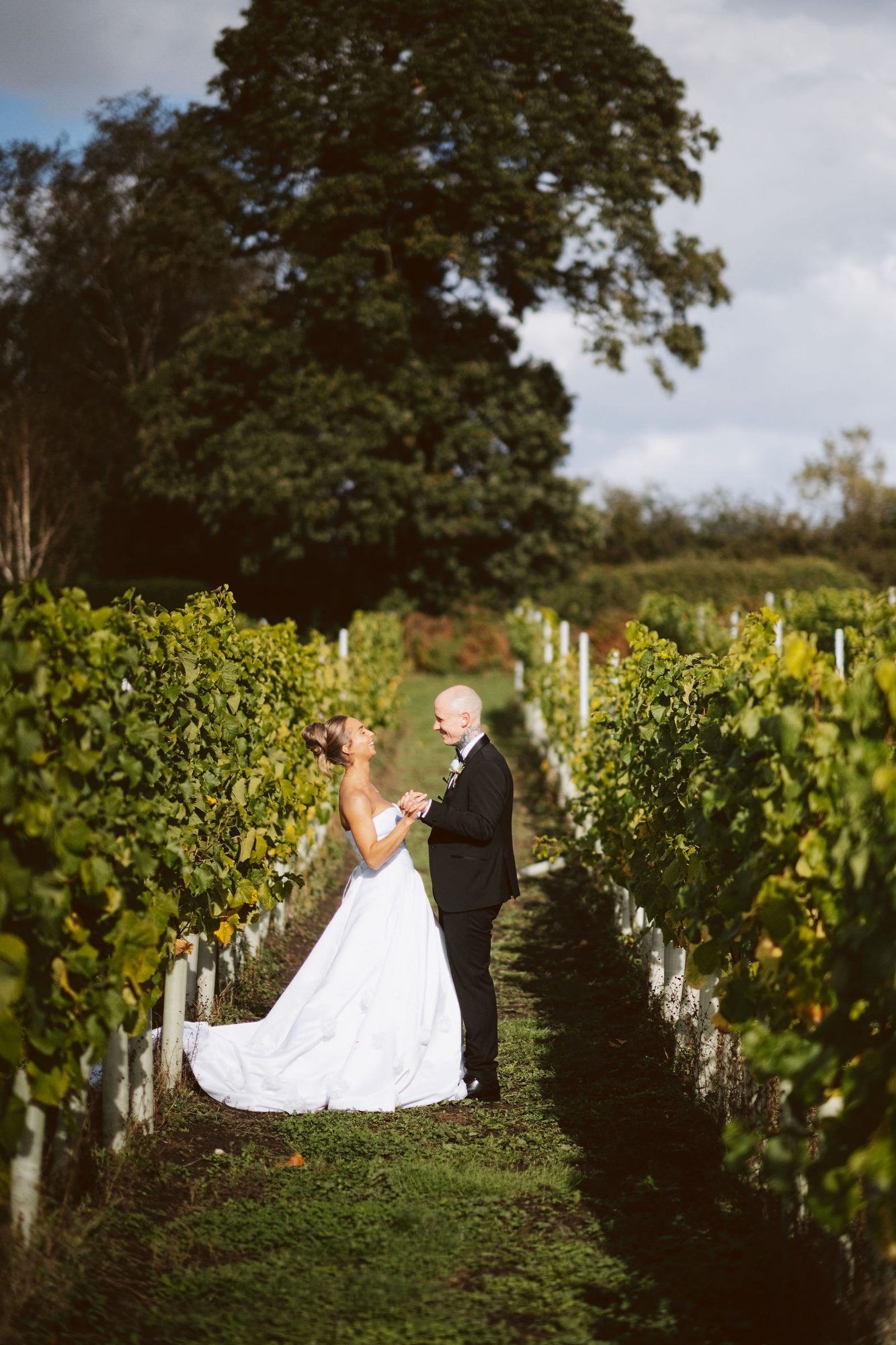 Sandhole Oak Barn wedding photography: bride and groom facing each other in a row of vines under a big tree