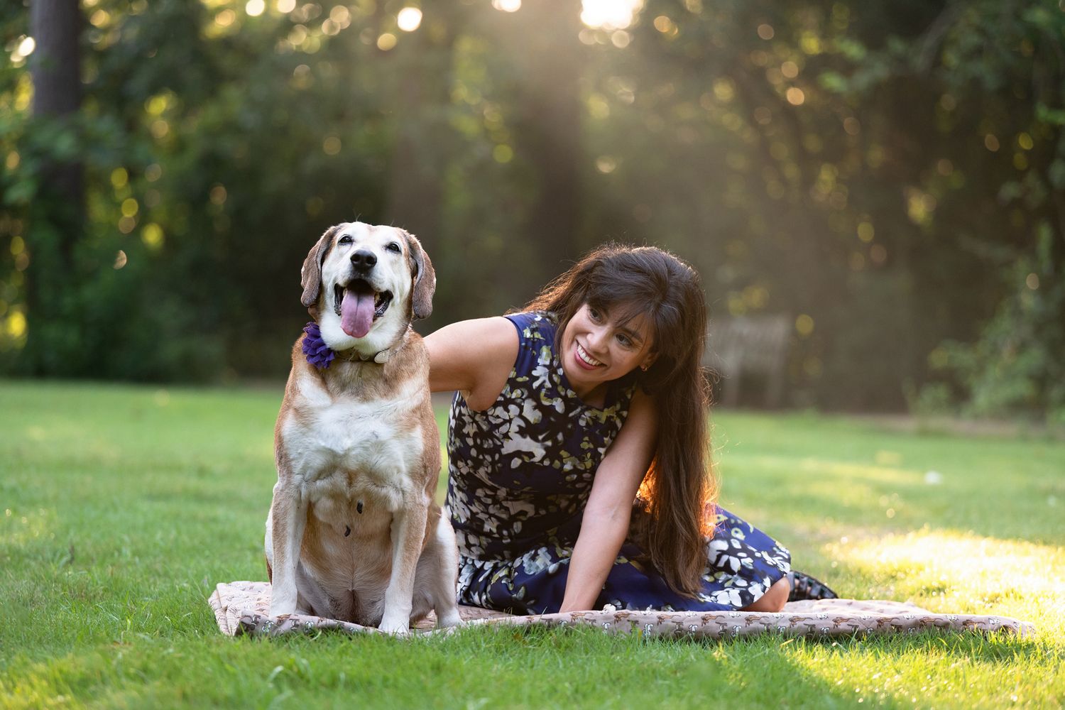 Houston pet photographer capturing a genuine moment between a dog and their owner.