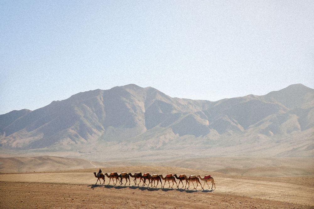 A caravan of camels walks across an arid desert landscape with dramatic mountain range in the background.