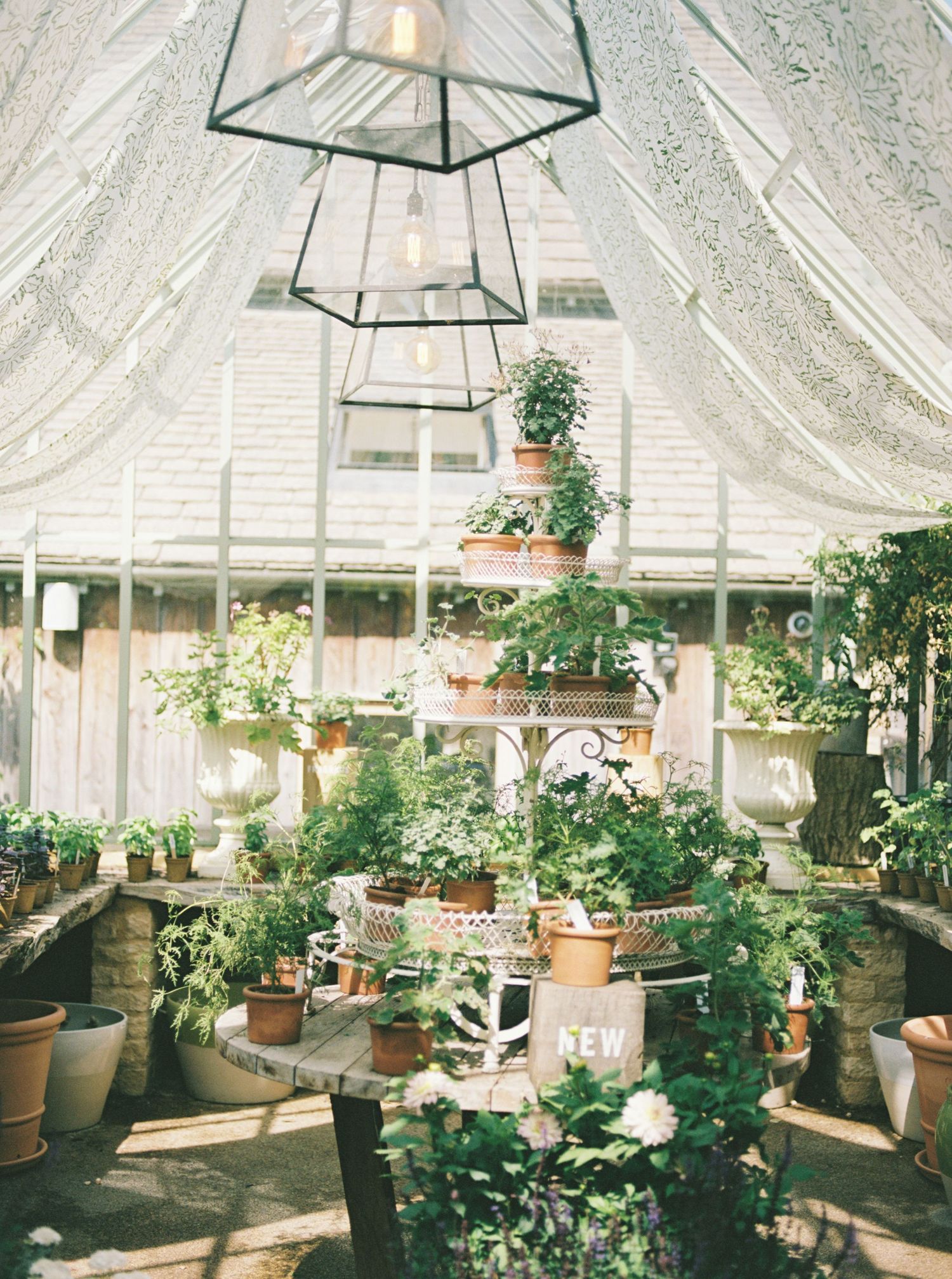 Lush greenhouse interior with tiered plant stands, terracotta pots, and an elegant hexagonal pendant light.