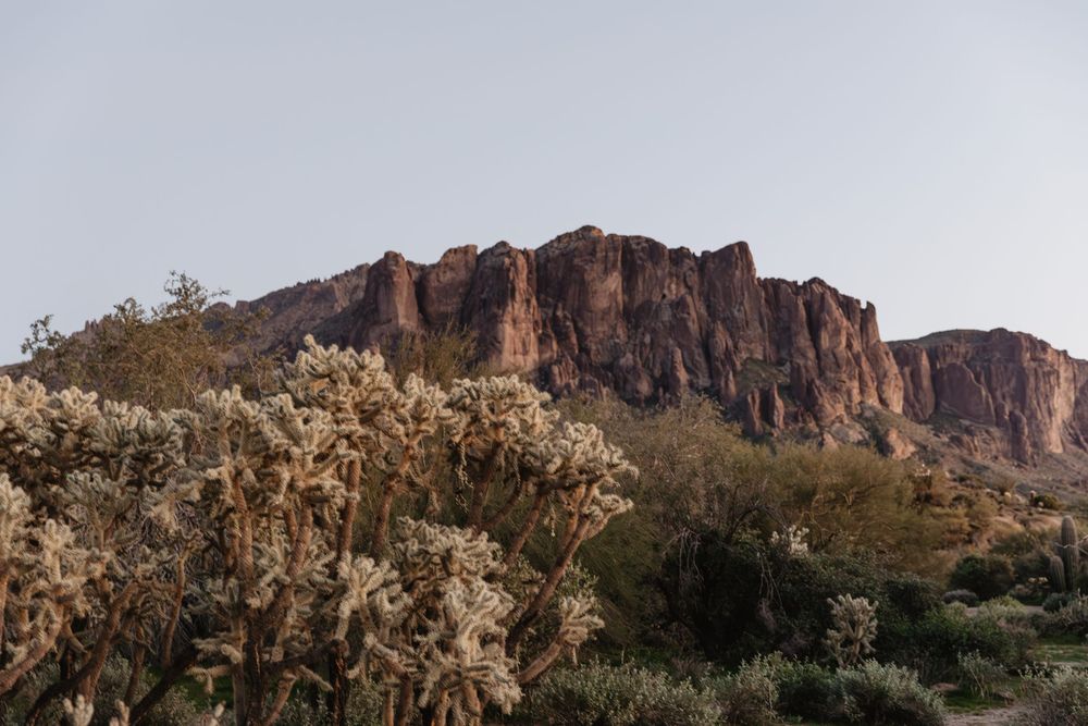 Rugged desert mountain landscape with cholla cactus in foreground under clear sky in Arizona.