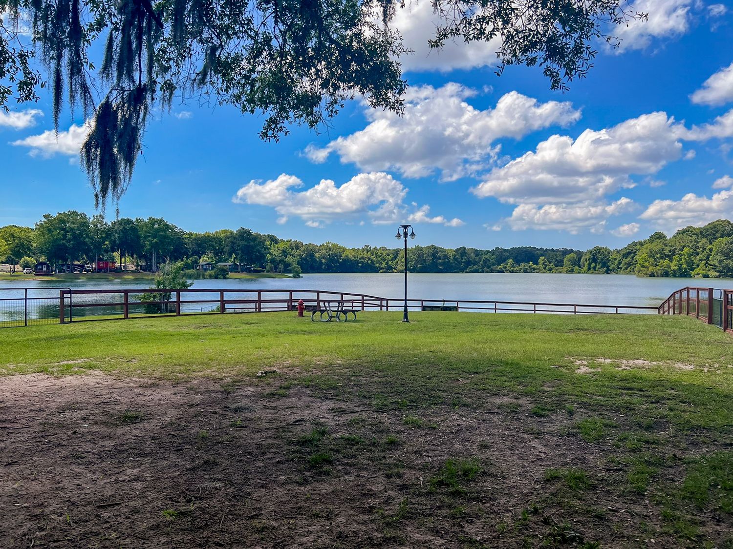 Scenic lakeside park with picnic bench, wooden fence, lush green trees, and Spanish moss under a bright blue sky in Florida.