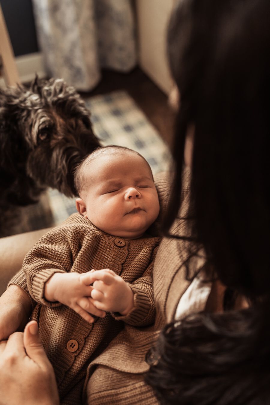 A newborn baby in a brown knit sweater rests peacefully in a mother's arms with a fluffy dark dog nearby.