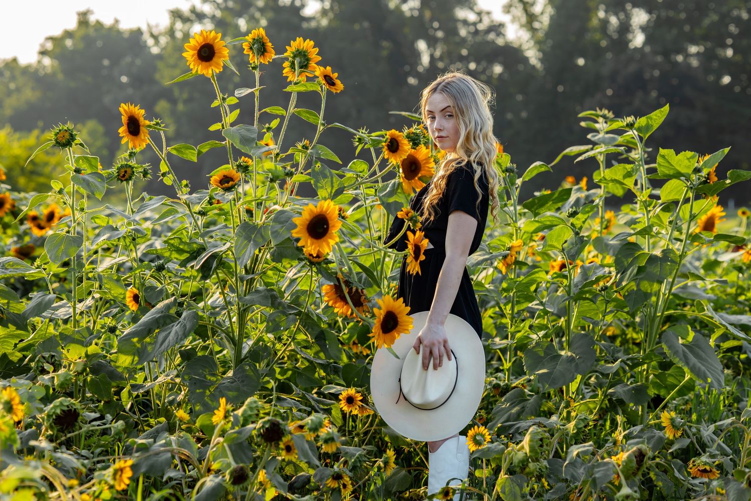 Young blonde woman in black dress holding white hat stands among tall sunflowers in a sunny field.