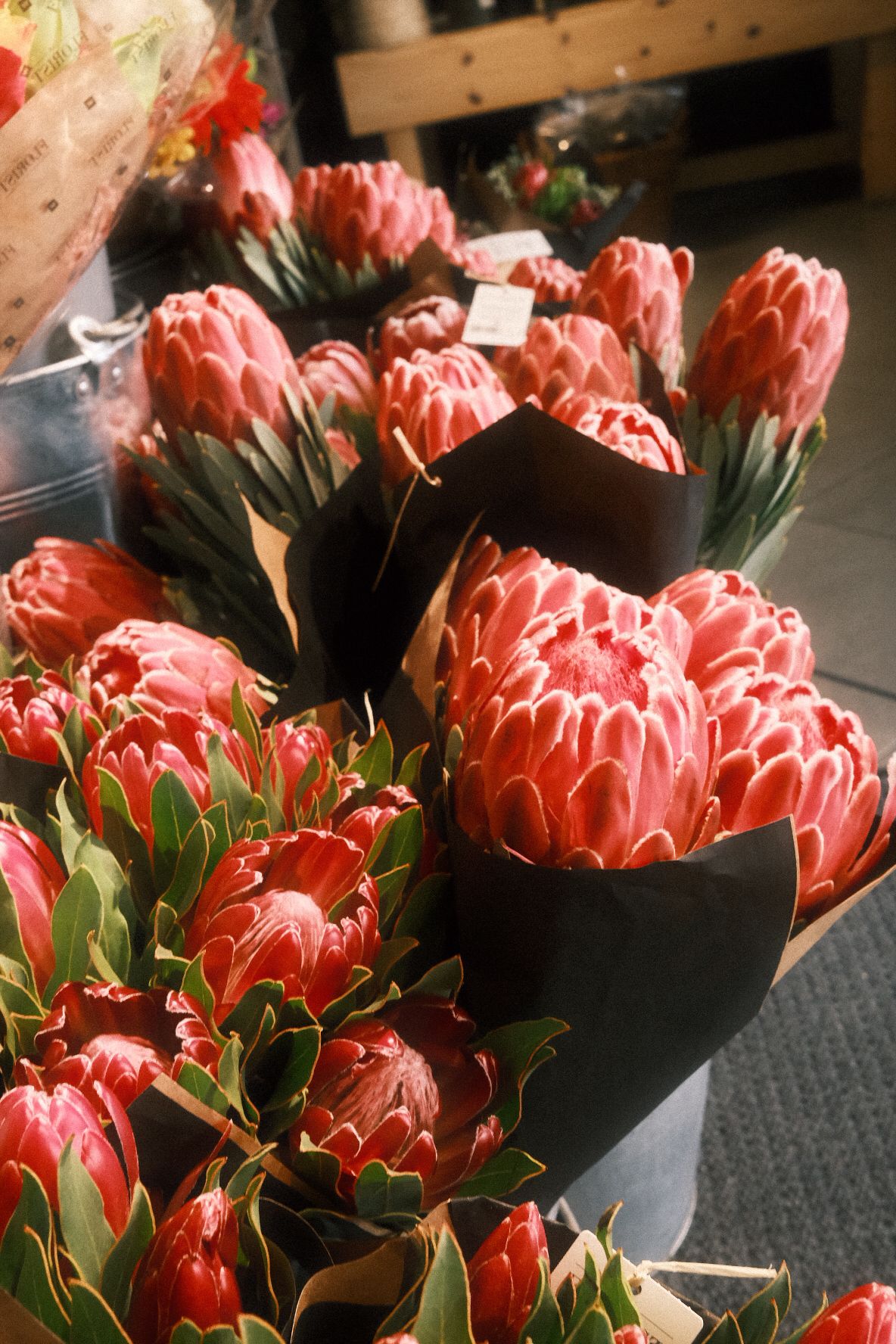 Bouquets of red and pink Protea flowers wrapped in black paper displayed at a flower market.
