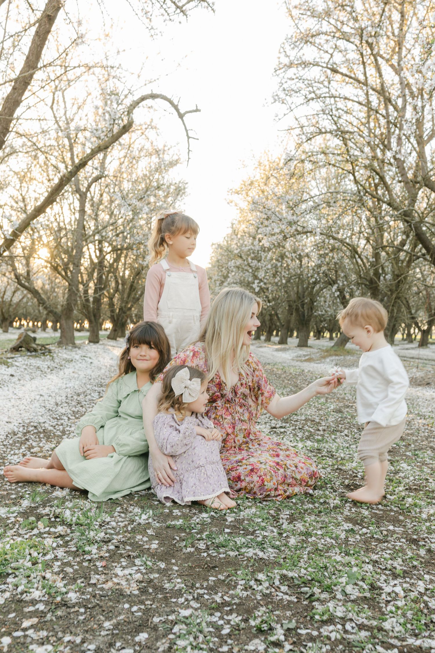 A mother sits with her three young children among blooming trees with white petals on the ground during golden hour.