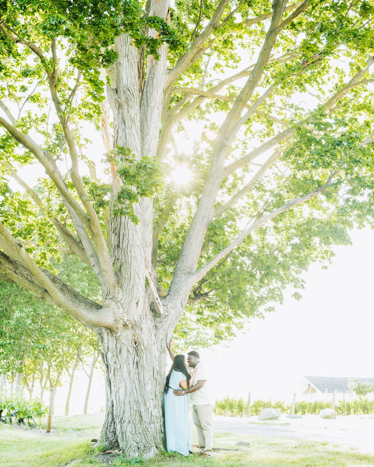 A couple shares a romantic kiss outdoors surrounded by lush greenery and purple flowers at sunset.