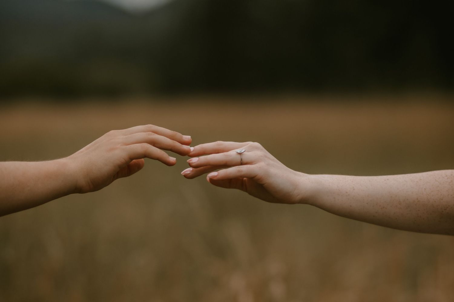 Two hands reaching toward each other in a golden field, one adorned with a delicate ring, evoking romance and connection.