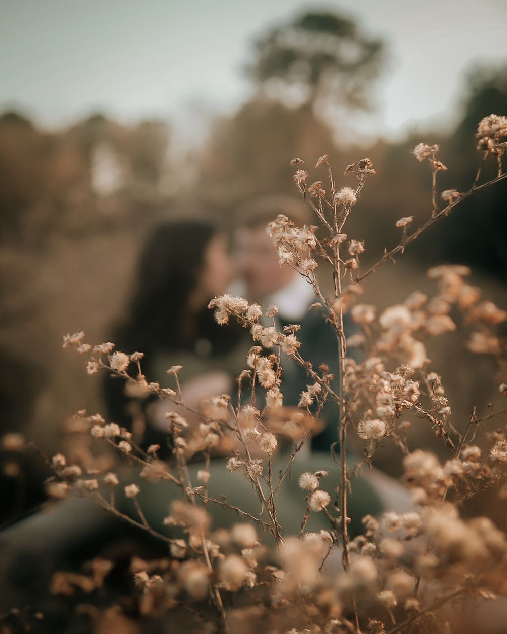 Couple sharing a romantic moment in a golden field of dried wildflowers at sunset.