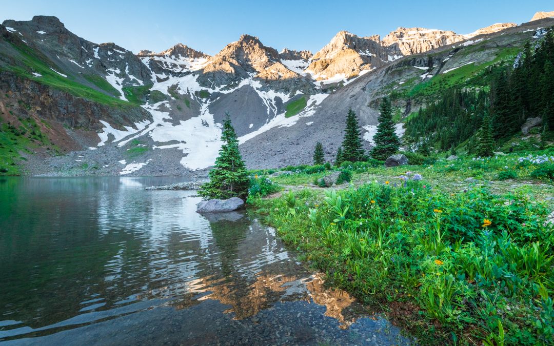 Snow-capped mountain lake reflecting evergreen trees and wildflowers in a pristine alpine wilderness landscape.
