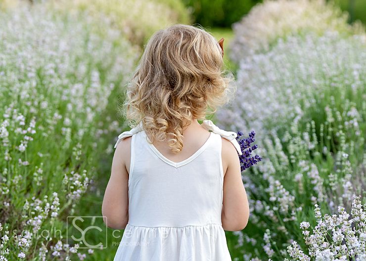 Young girl in white dress holding lavender bouquet, standing in a blooming lavender field, viewed from behind.