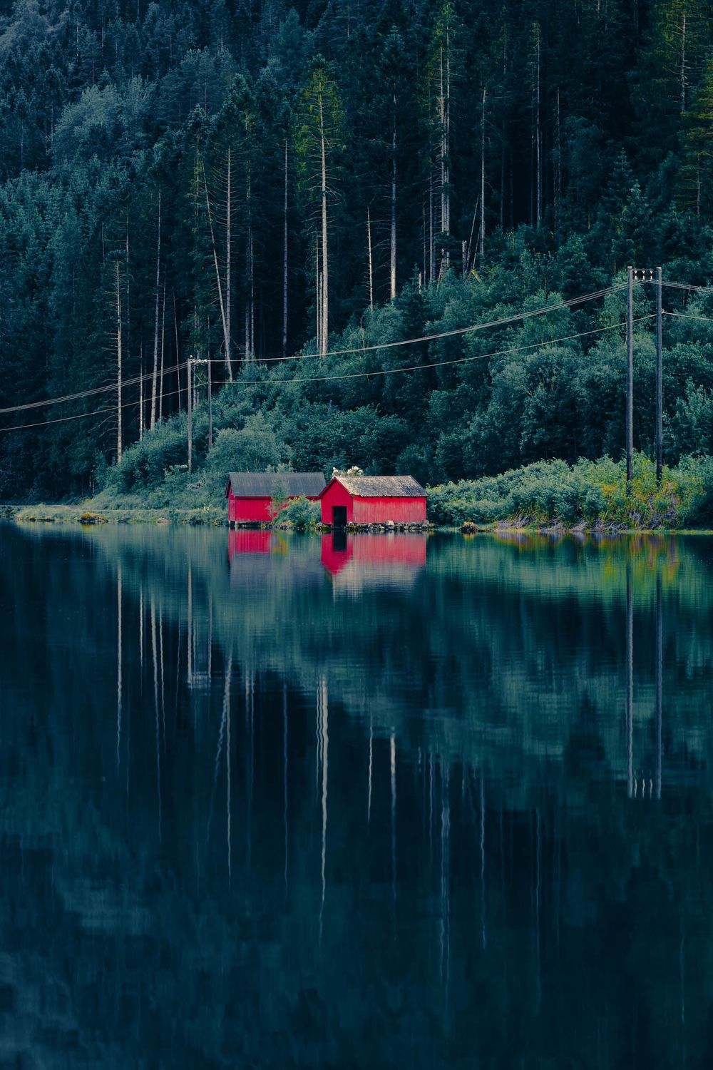 Red boathouses reflect on a calm fjord lake surrounded by dense evergreen forest in Norway.