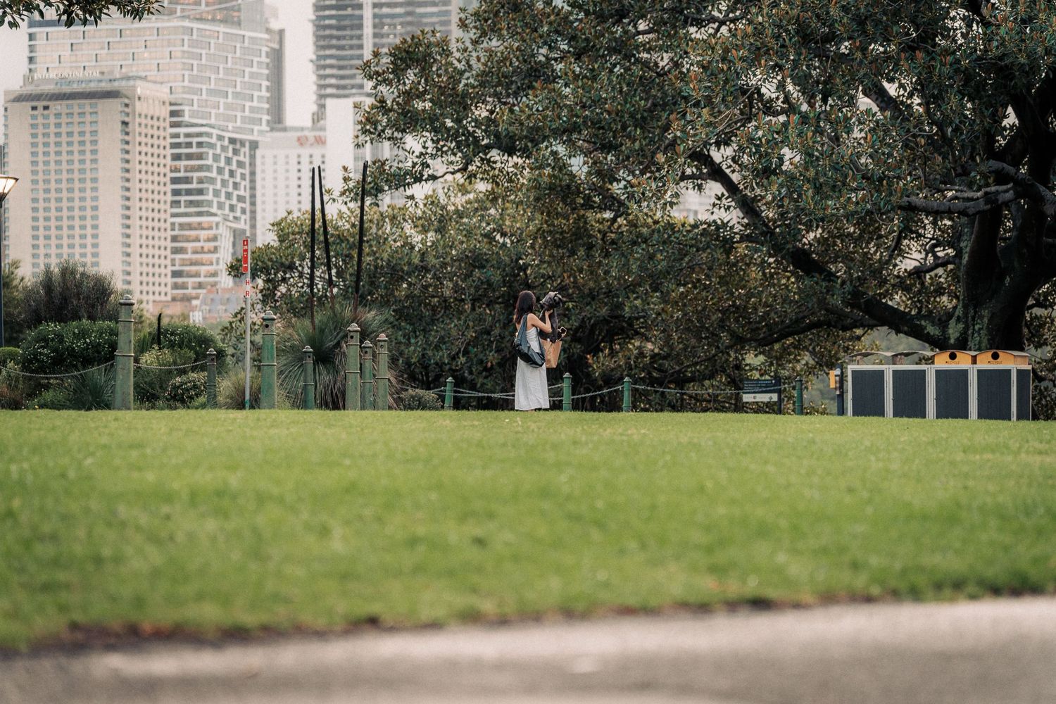 Couple embracing in a lush green park with city skyline in the background.
