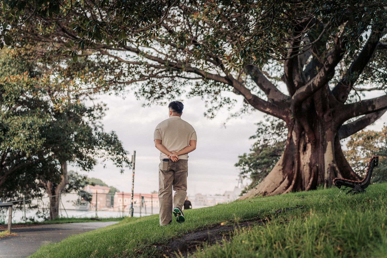 A man walks toward a large banyan tree on a grassy hill in a peaceful urban park setting.