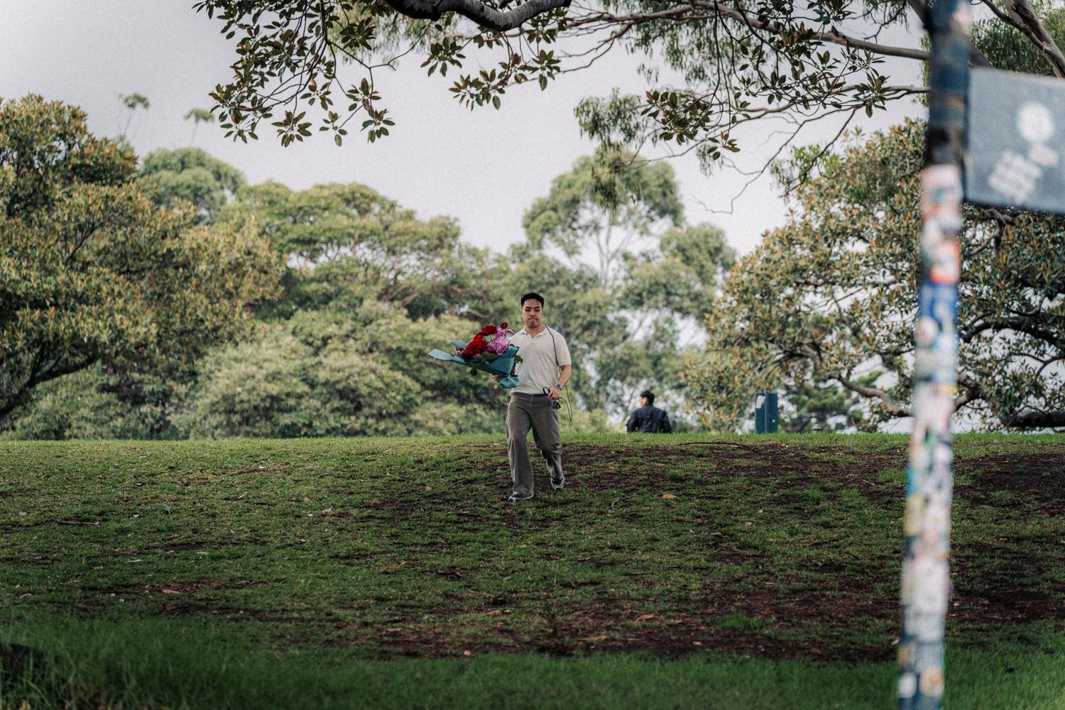 Man walking on lush green grass in a scenic park surrounded by tall trees on a cloudy day.